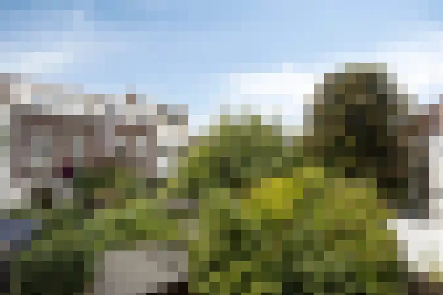 Rozenburgsestraat 30 Schiedam thumbnail 14
