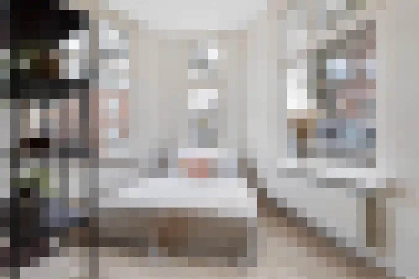 Rozenburgsestraat 44 A Schiedam thumbnail 13