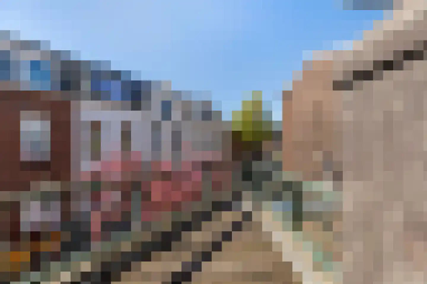 Rozenburgsestraat 44 B Schiedam thumbnail 27
