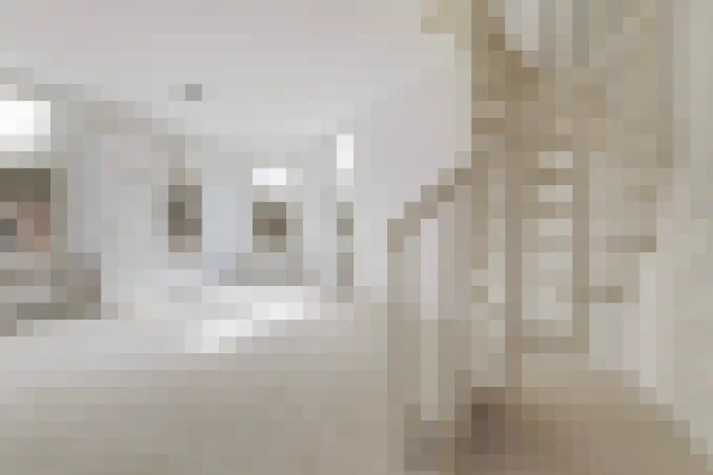 Rozenburgsestraat 44 B Schiedam thumbnail 8