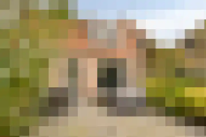 Rozendaal 10 B Monnickendam thumbnail 36