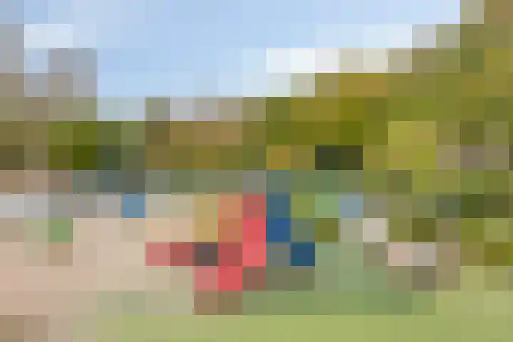 Rozendaal 10 B Monnickendam thumbnail 42