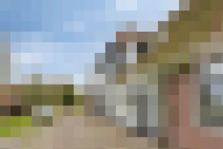 Rozendaal 10 B Monnickendam thumbnail 8