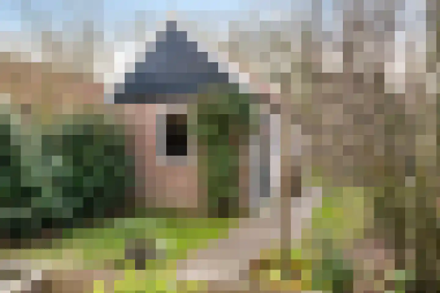 Rozendaal 10 Monnickendam thumbnail 34