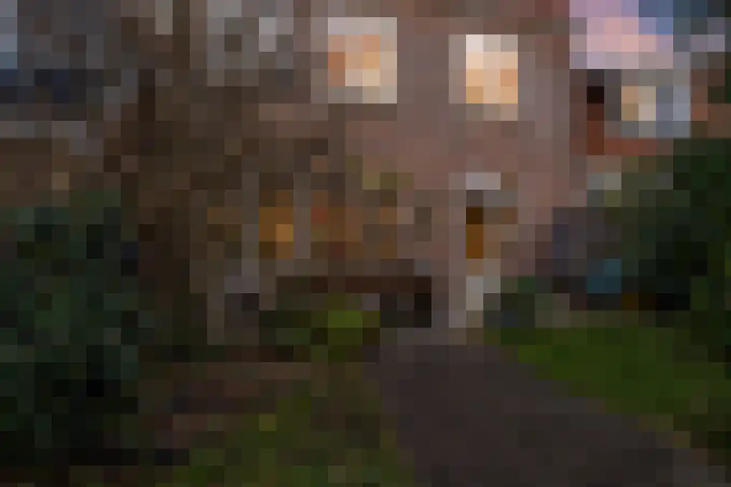 Rozendaal 10 Monnickendam thumbnail 87