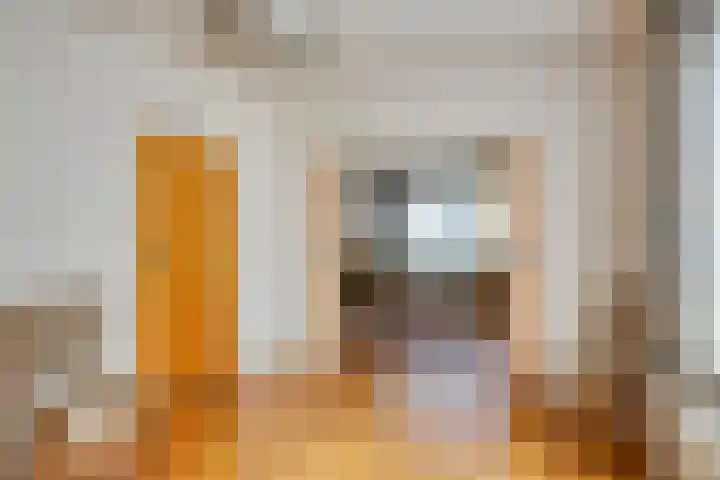 Rozendaal 6 Maasbree thumbnail 12