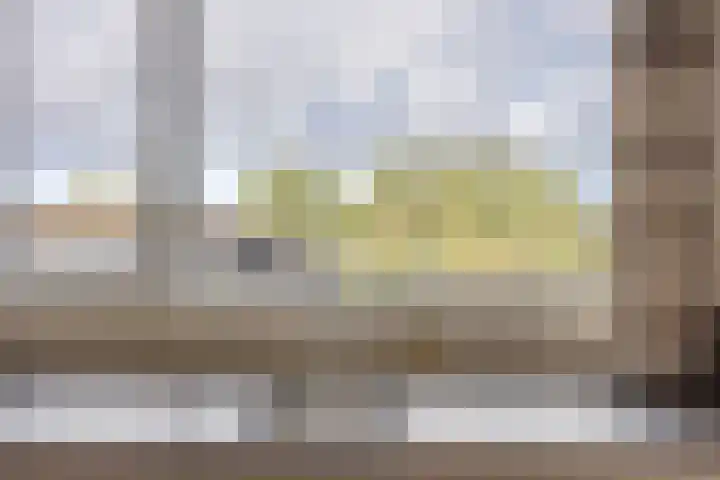 Rozendaal 6 Maasbree thumbnail 15