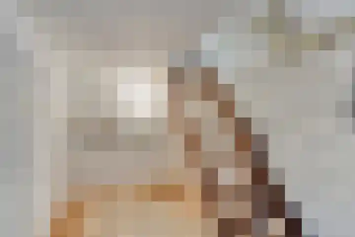 Rozendaal 6 Maasbree thumbnail 18