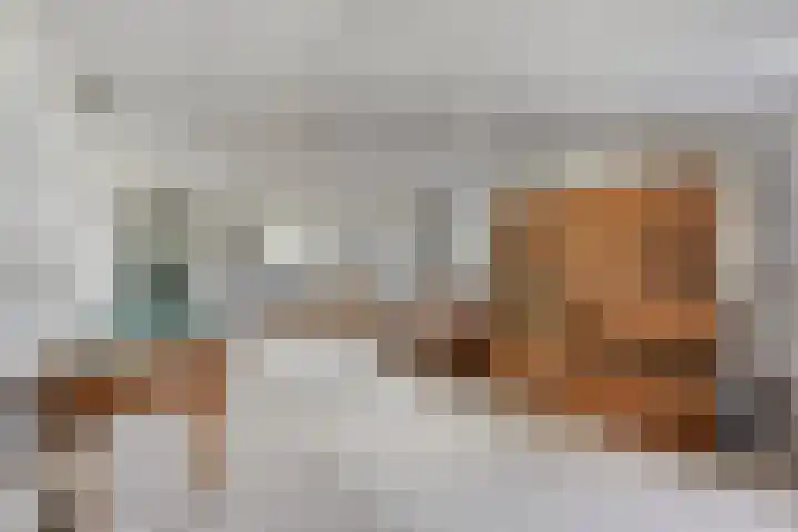 Rozendaal 6 Maasbree thumbnail 22