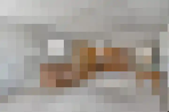 Rozendaal 6 Maasbree thumbnail 23