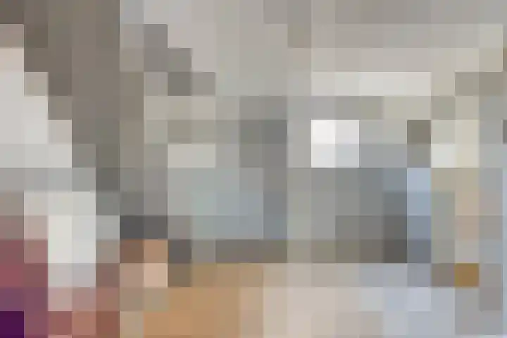 Rozendaal 6 Maasbree thumbnail 25