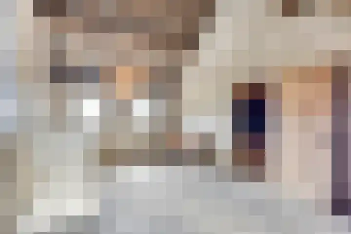 Rozendaal 6 Maasbree thumbnail 27