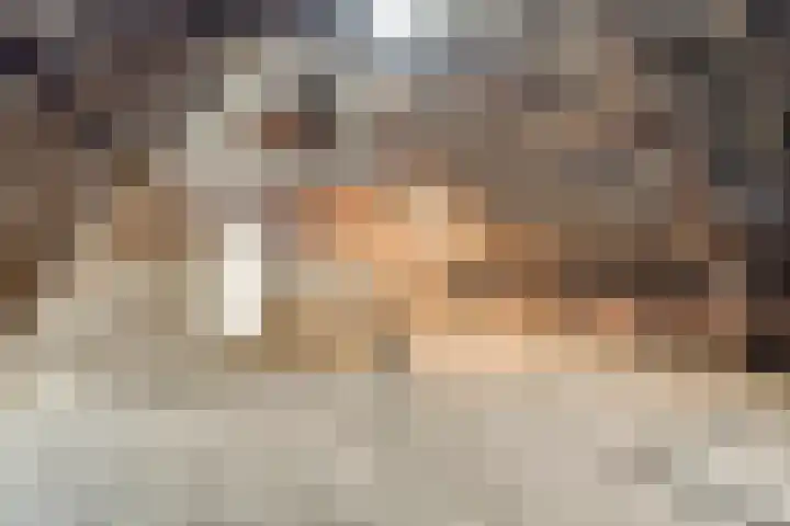 Rozendaal 6 Maasbree thumbnail 29