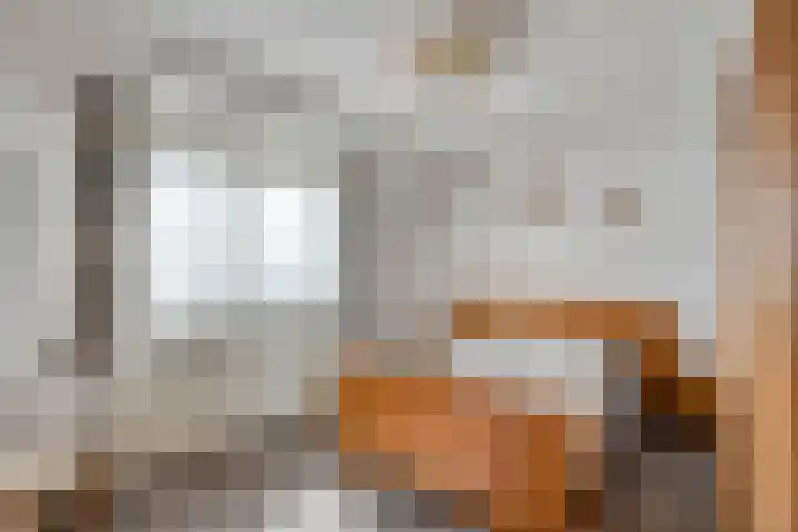 Rozendaal 6 Maasbree thumbnail 31