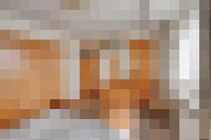 Rozendaal 6 Maasbree thumbnail 32