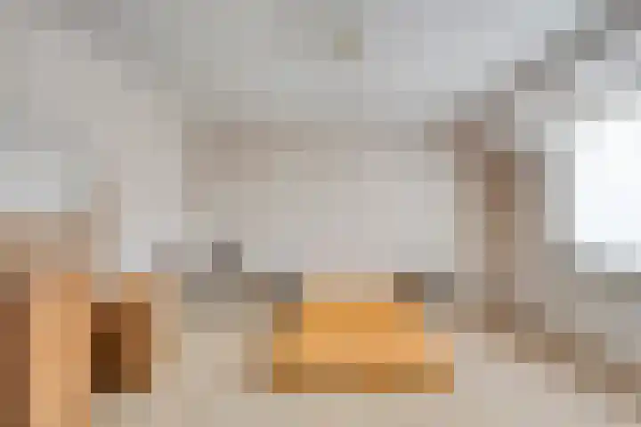 Rozendaal 6 Maasbree thumbnail 35