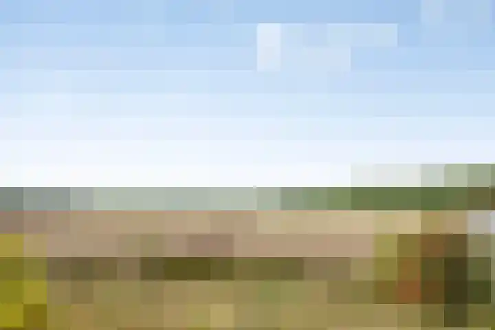 Rozendaal 6 Maasbree thumbnail 4