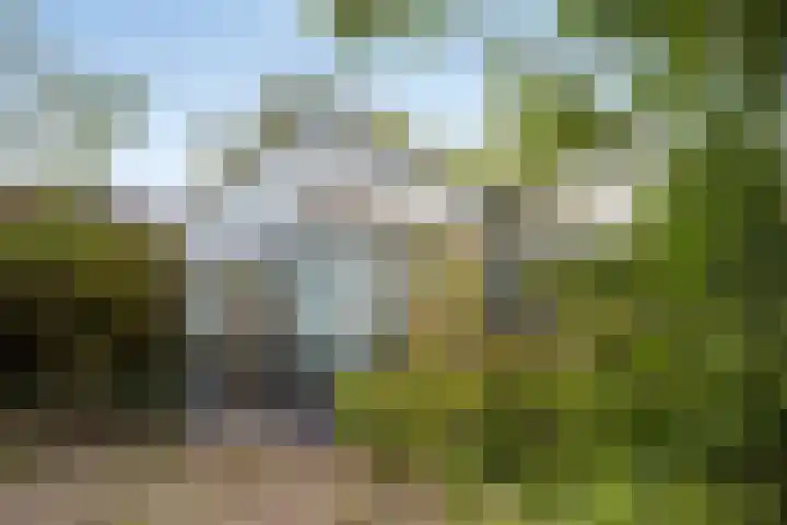 Rozendaal 6 Maasbree thumbnail 41
