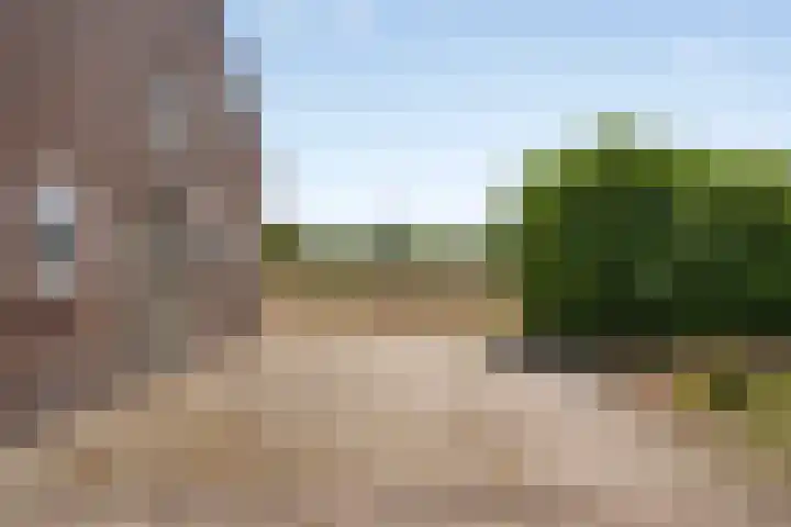 Rozendaal 6 Maasbree thumbnail 43