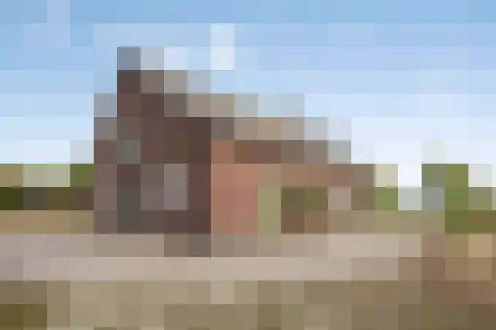 Rozendaal 6 Maasbree thumbnail 44
