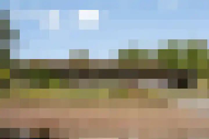 Rozendaal 6 Maasbree thumbnail 45