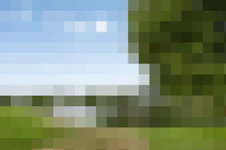 Rozendaal 6 Maasbree thumbnail 47
