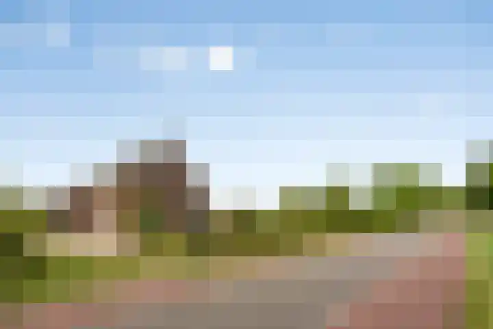 Rozendaal 6 Maasbree thumbnail 49