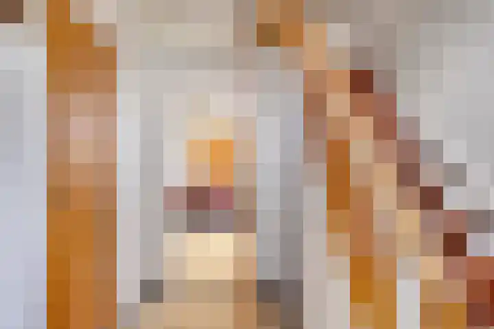 Rozendaal 6 Maasbree thumbnail 5