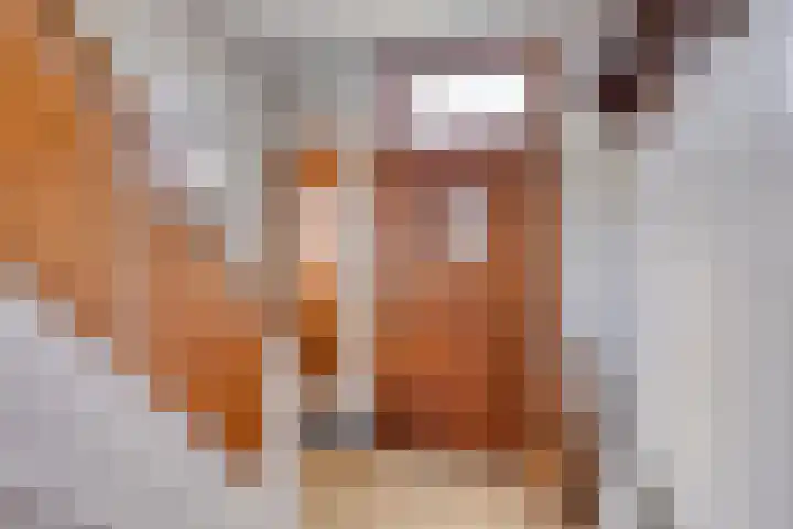 Rozendaal 6 Maasbree thumbnail 6