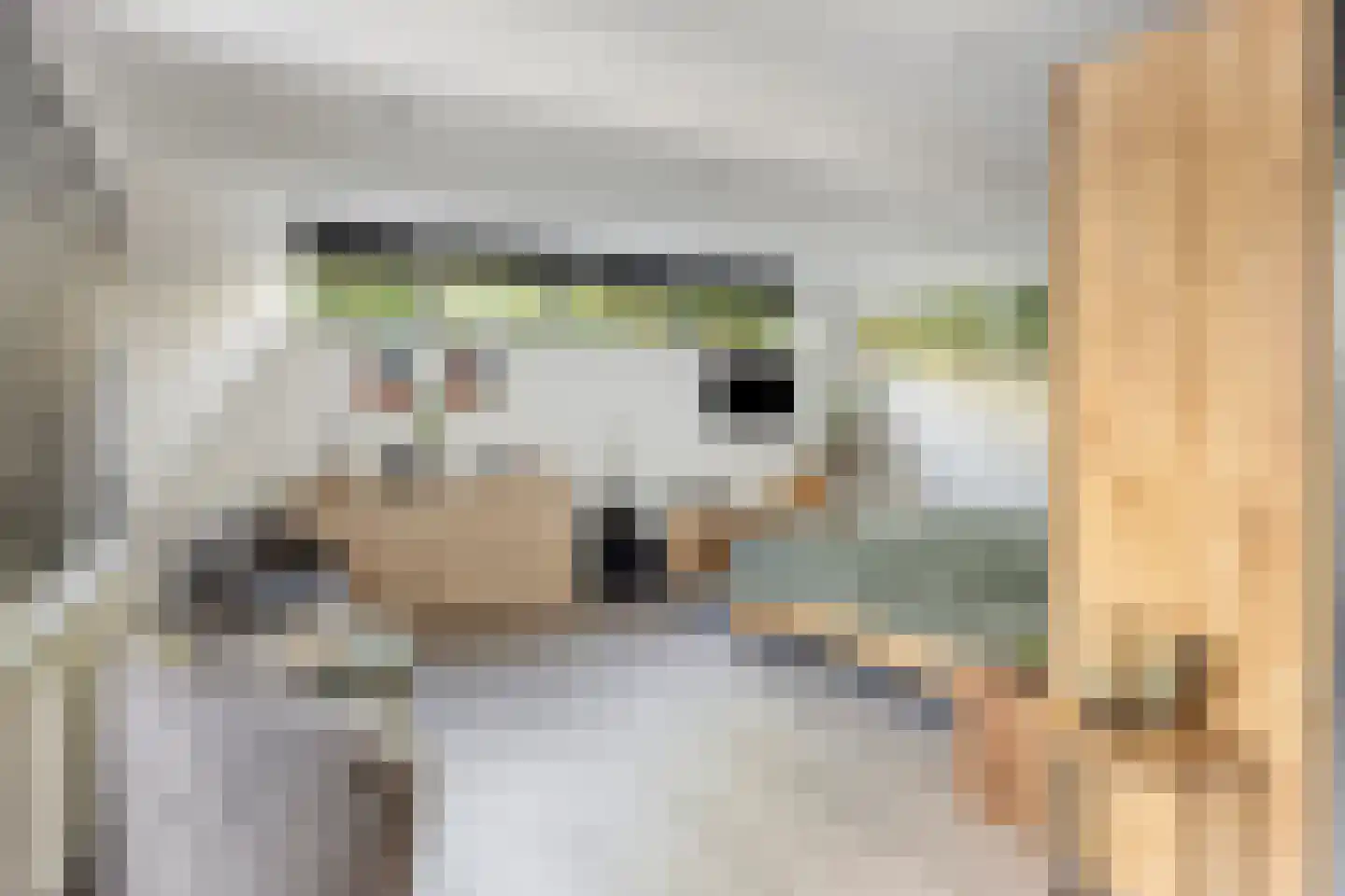 Rozendaalseheide 32 Montfort thumbnail 23