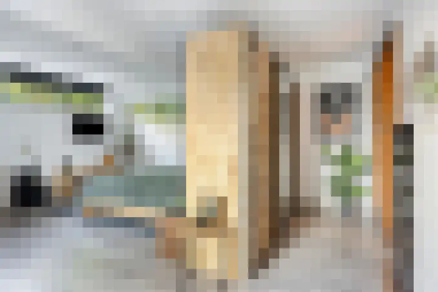 Rozendaalseheide 32 Montfort thumbnail 24