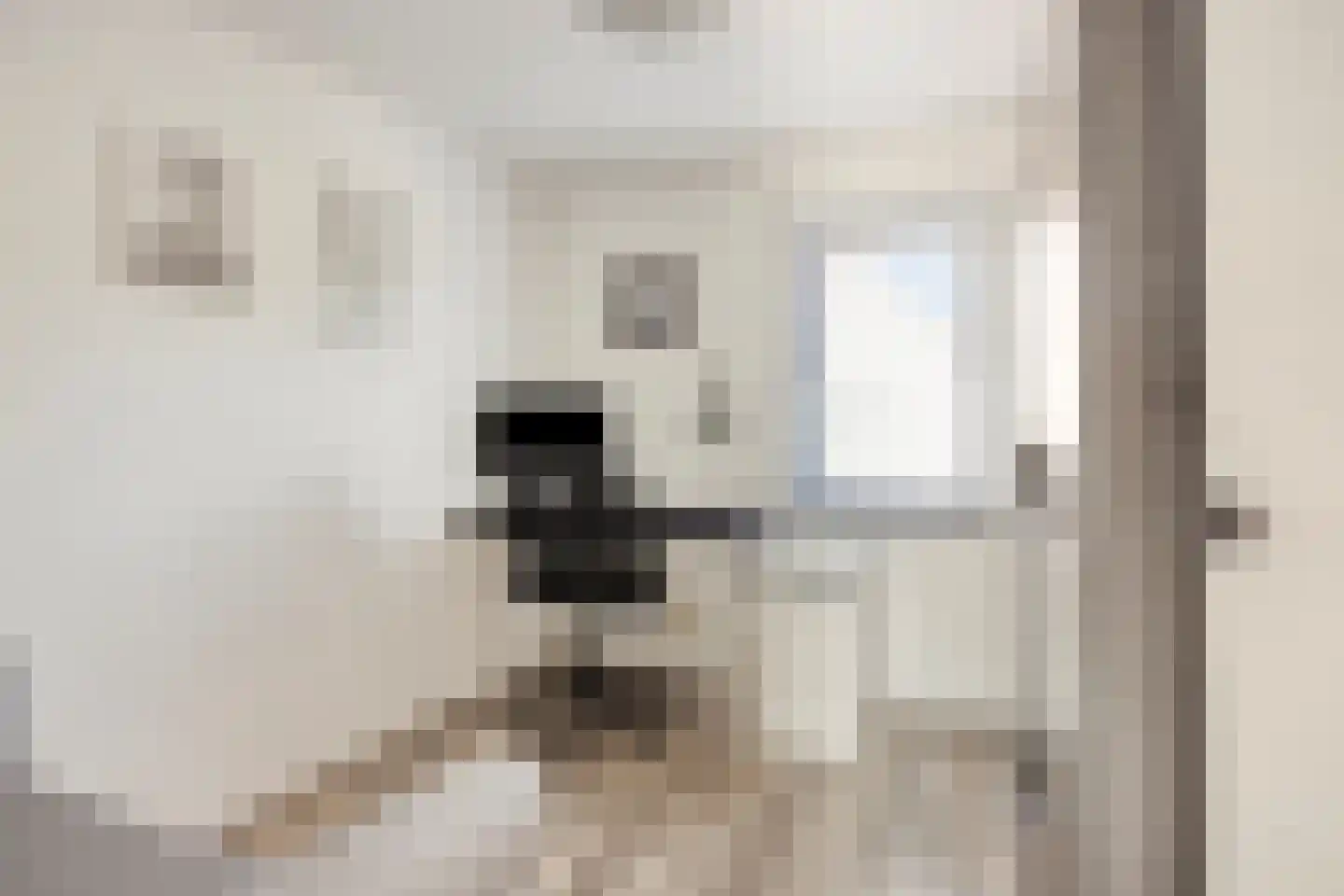Rozendaalseheide 32 Montfort thumbnail 38