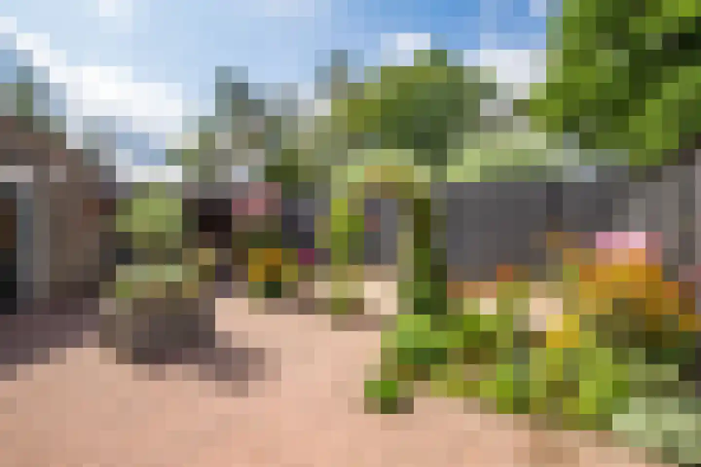Rozendaalseheide 5 Montfort thumbnail 21