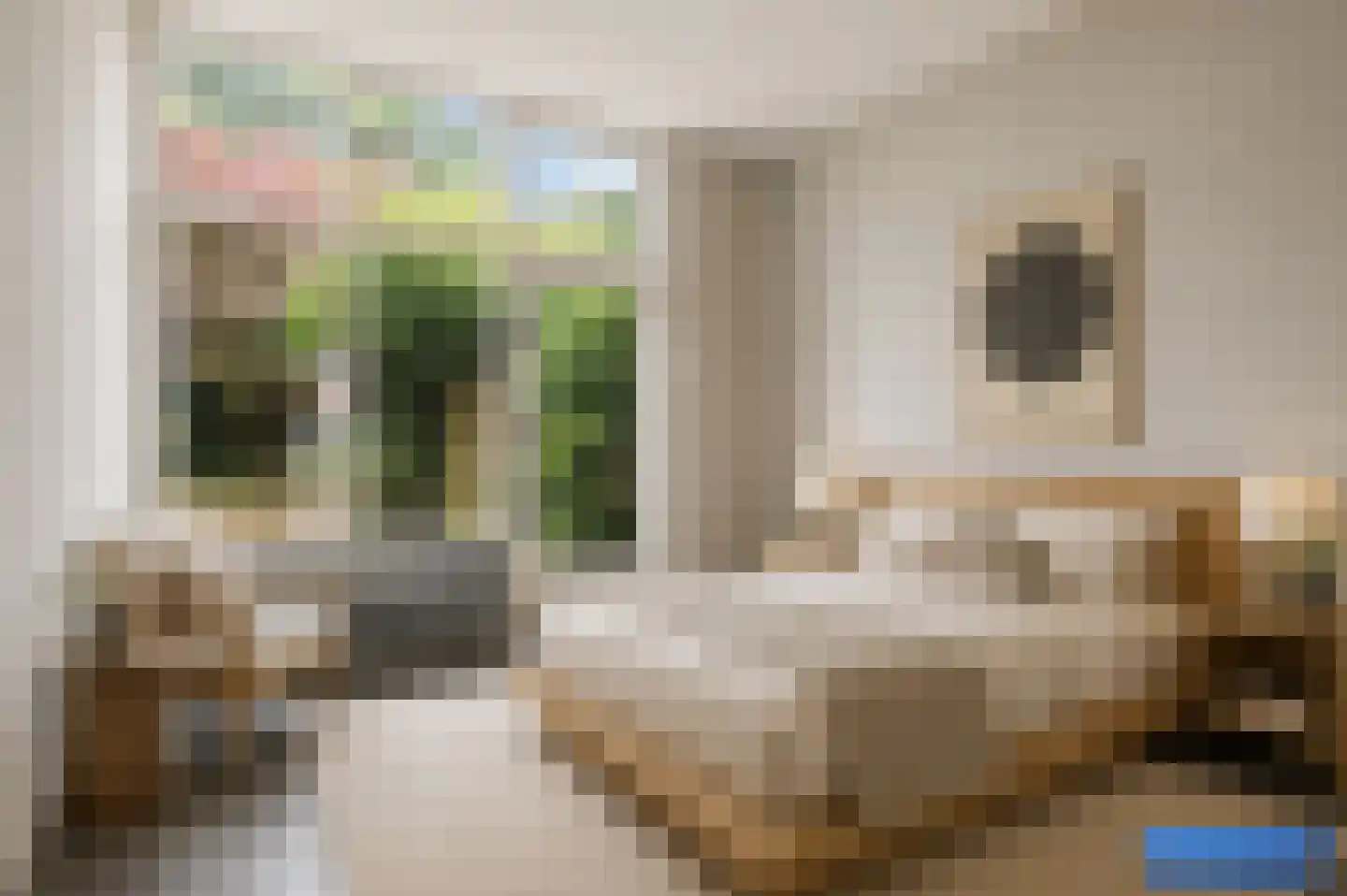 Rozendaalselaan 22 Velp thumbnail 13