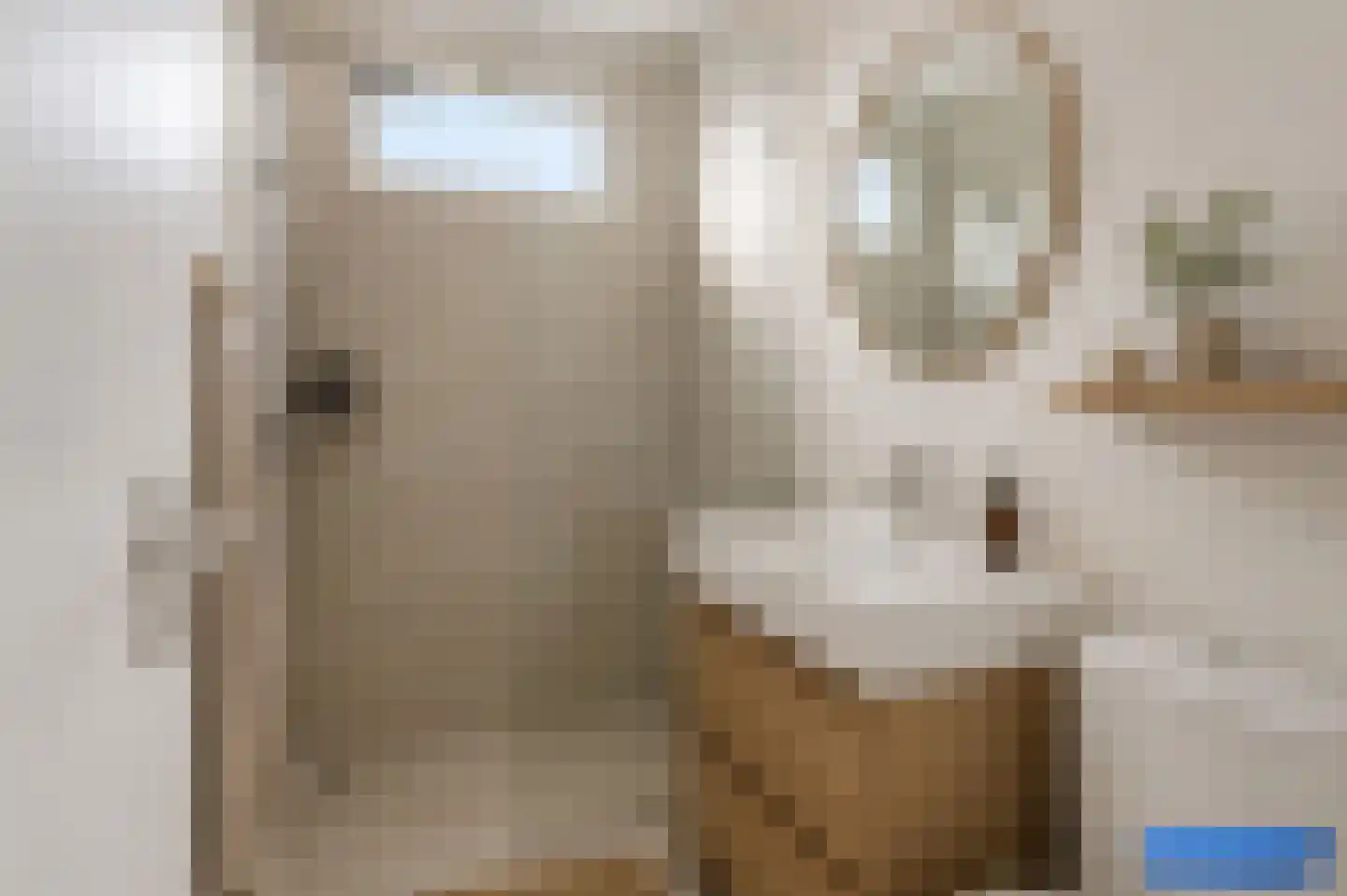 Rozendaalselaan 22 Velp thumbnail 17