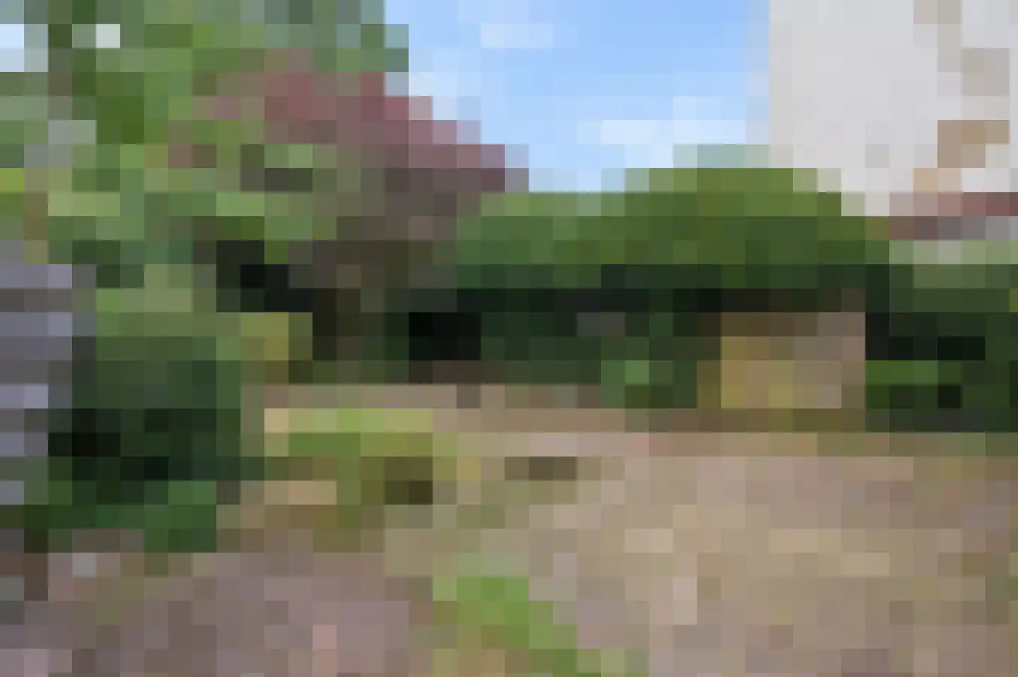 Rozendaalselaan 22 Velp thumbnail 21