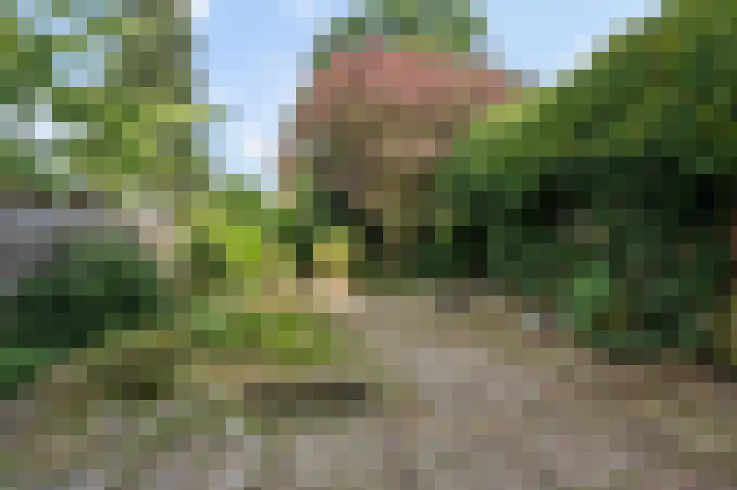 Rozendaalselaan 22 Velp thumbnail 22
