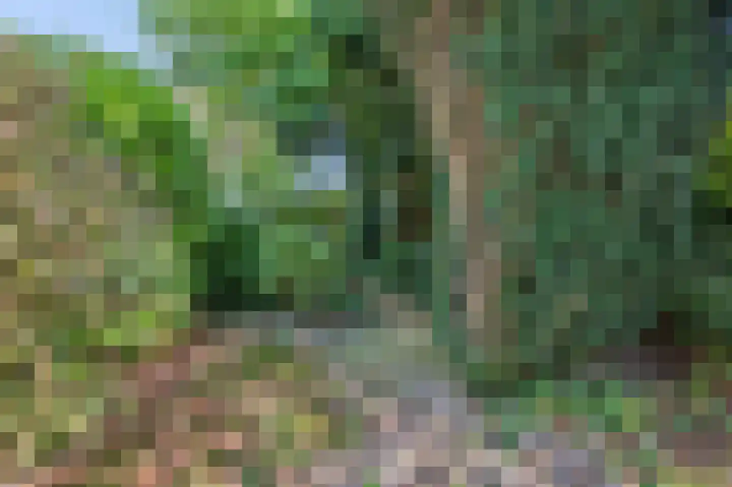 Rozendaalselaan 22 Velp thumbnail 25