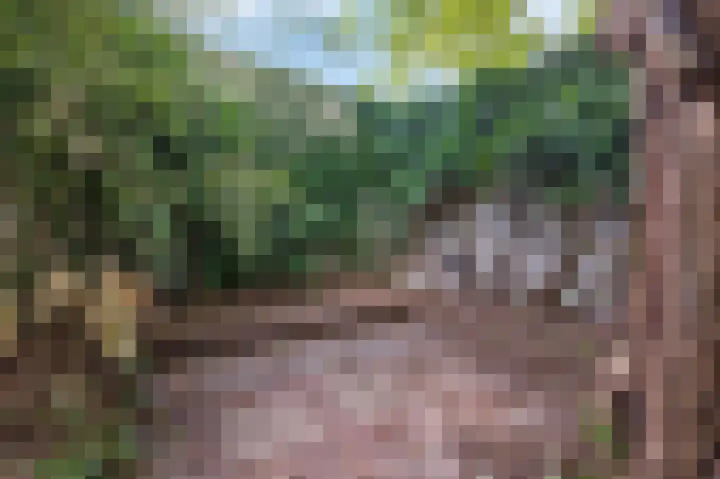 Rozendaalselaan 22 Velp thumbnail 26