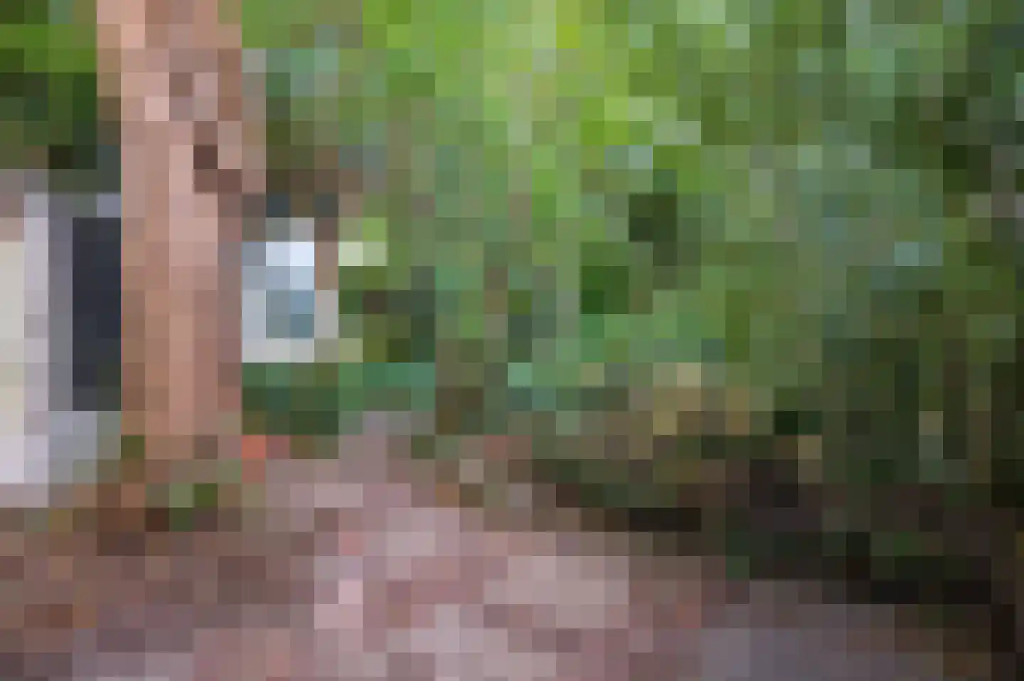 Rozendaalselaan 22 Velp thumbnail 27