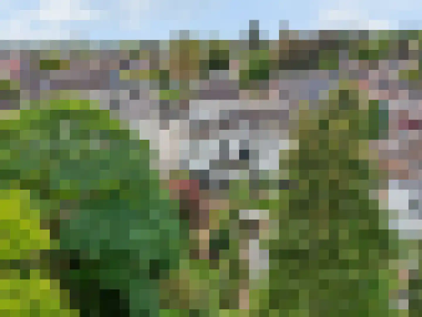 Rozendaalselaan 22 Velp thumbnail 28