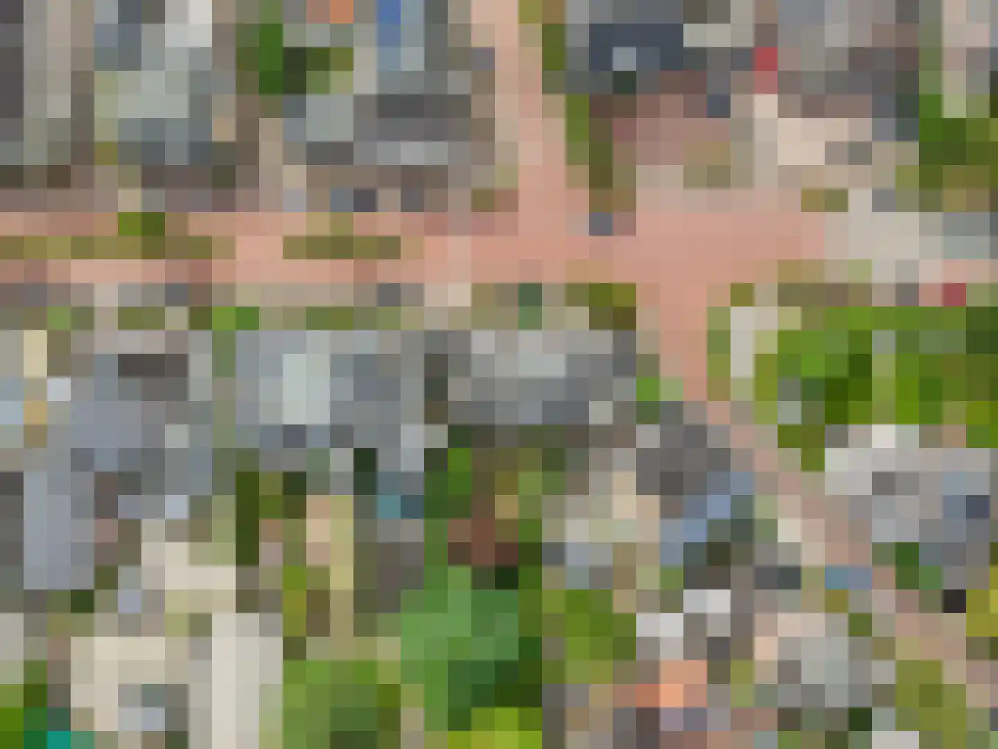 Rozendaalselaan 22 Velp thumbnail 34
