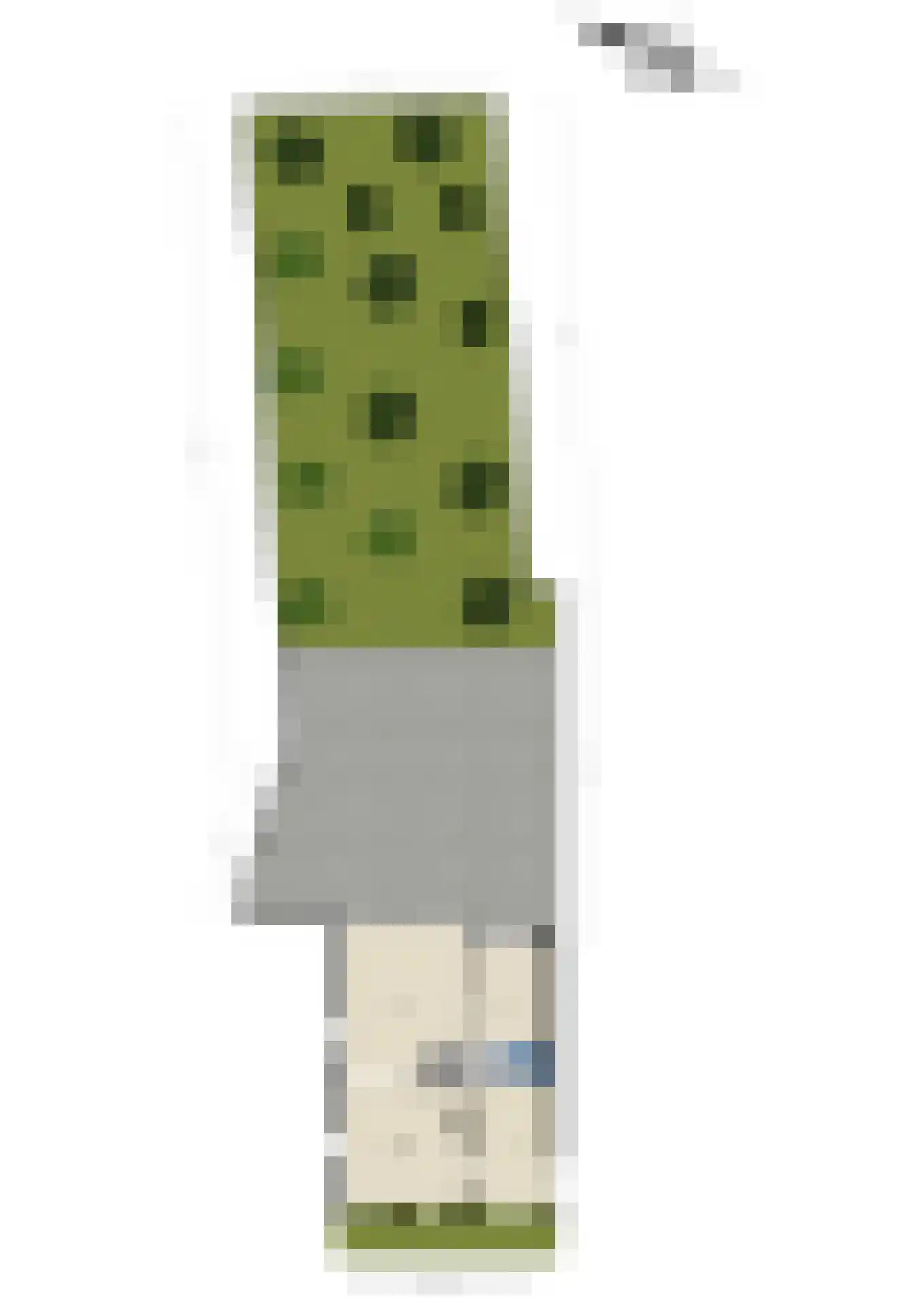 Rozendaalselaan 22 Velp thumbnail 36