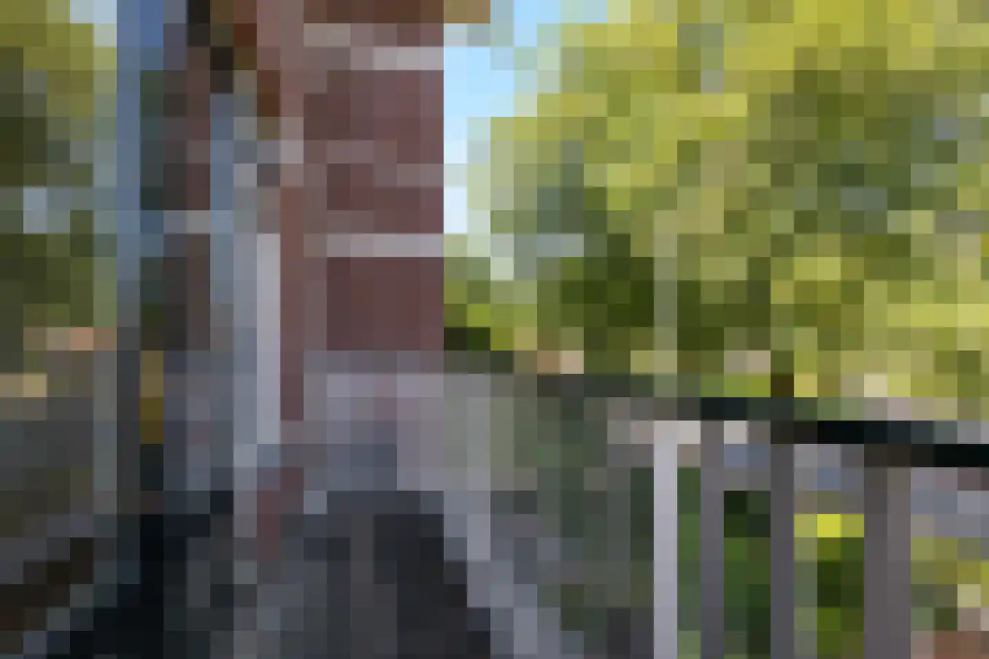 Rozendaalselaan 29 c Velp thumbnail 10