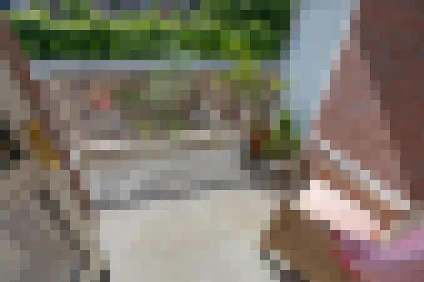 Rozendaalselaan 29 c Velp thumbnail 14