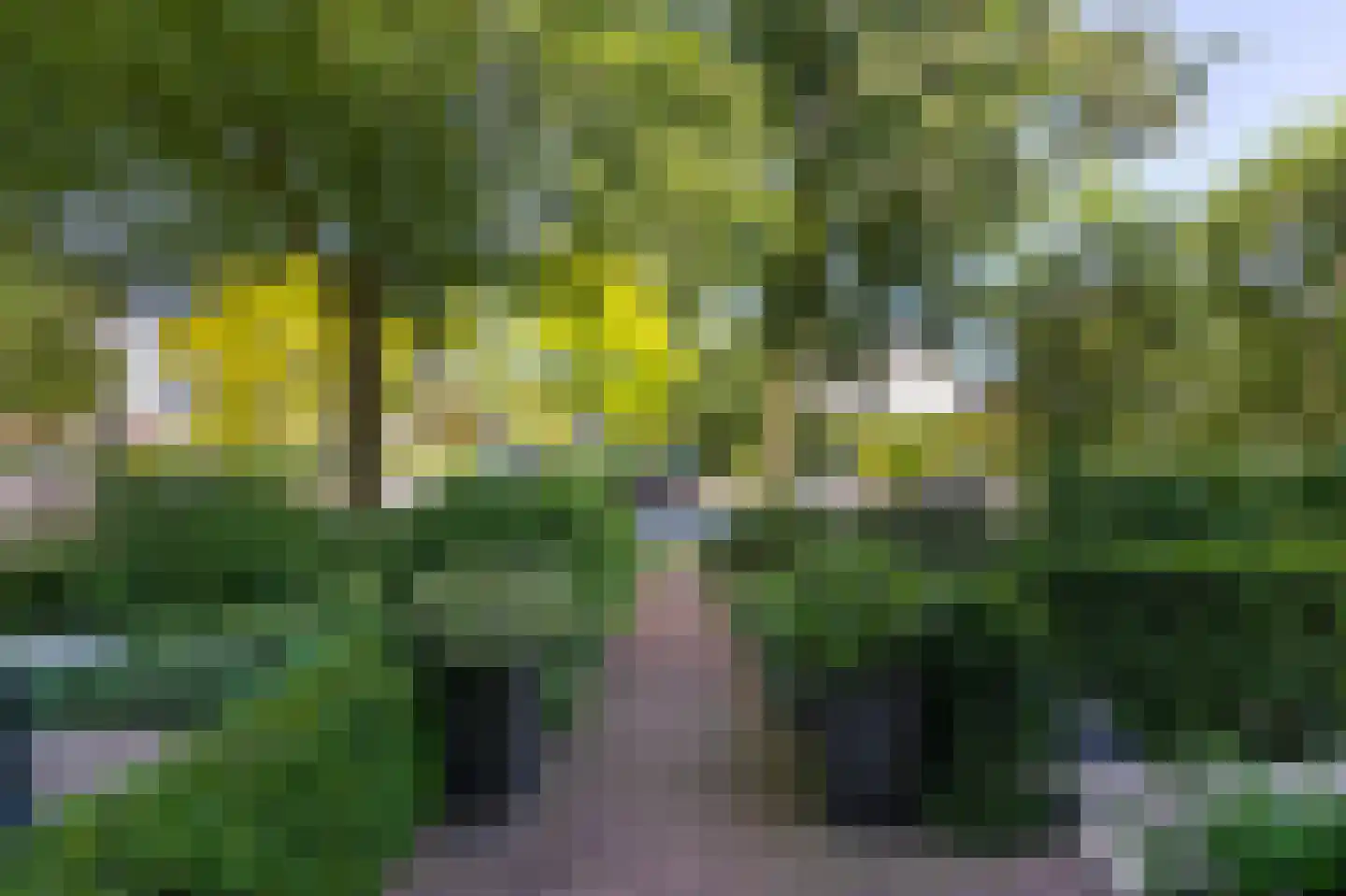 Rozendaalselaan 29 c Velp thumbnail 21