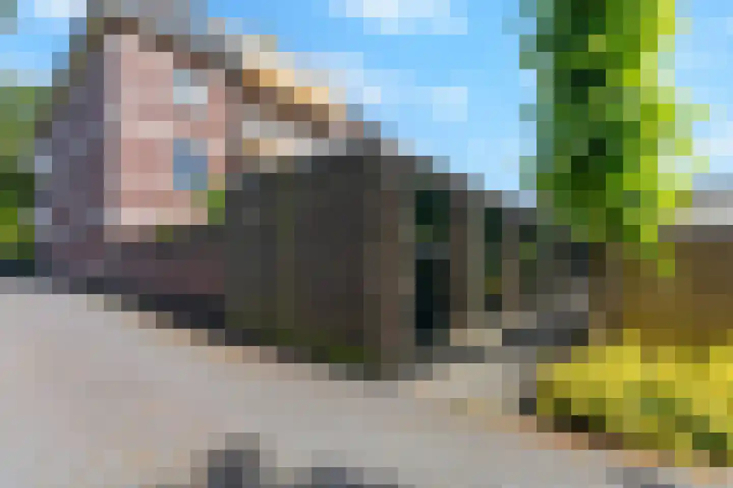 Rozendaalselaan 29 c Velp thumbnail 22