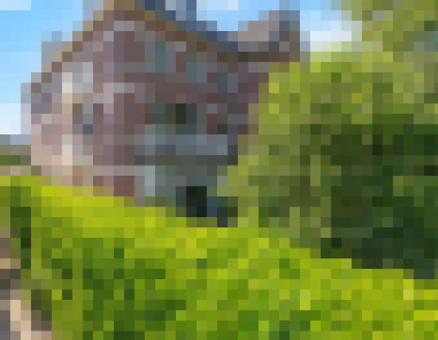 Rozendaalselaan 29 c Velp thumbnail 25