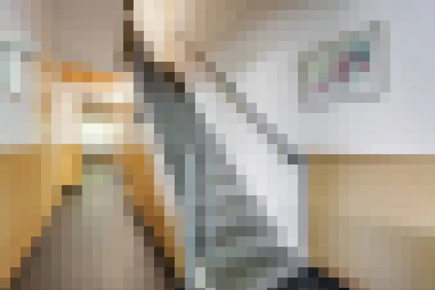 Rozendaalselaan 29 c Velp thumbnail 5