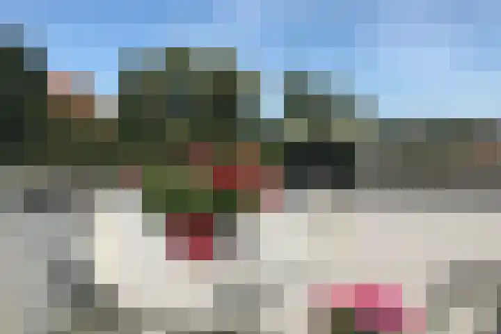 Rozendaalselaan 4 a Velp thumbnail 13